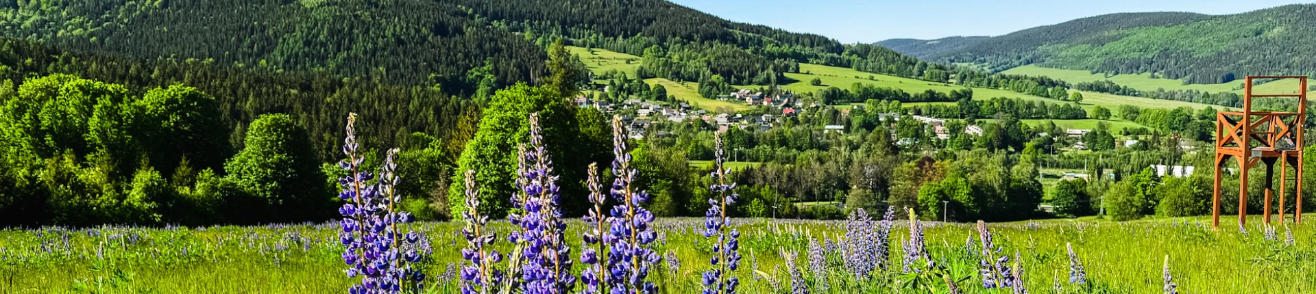 Sdružení obcí Vrbenska